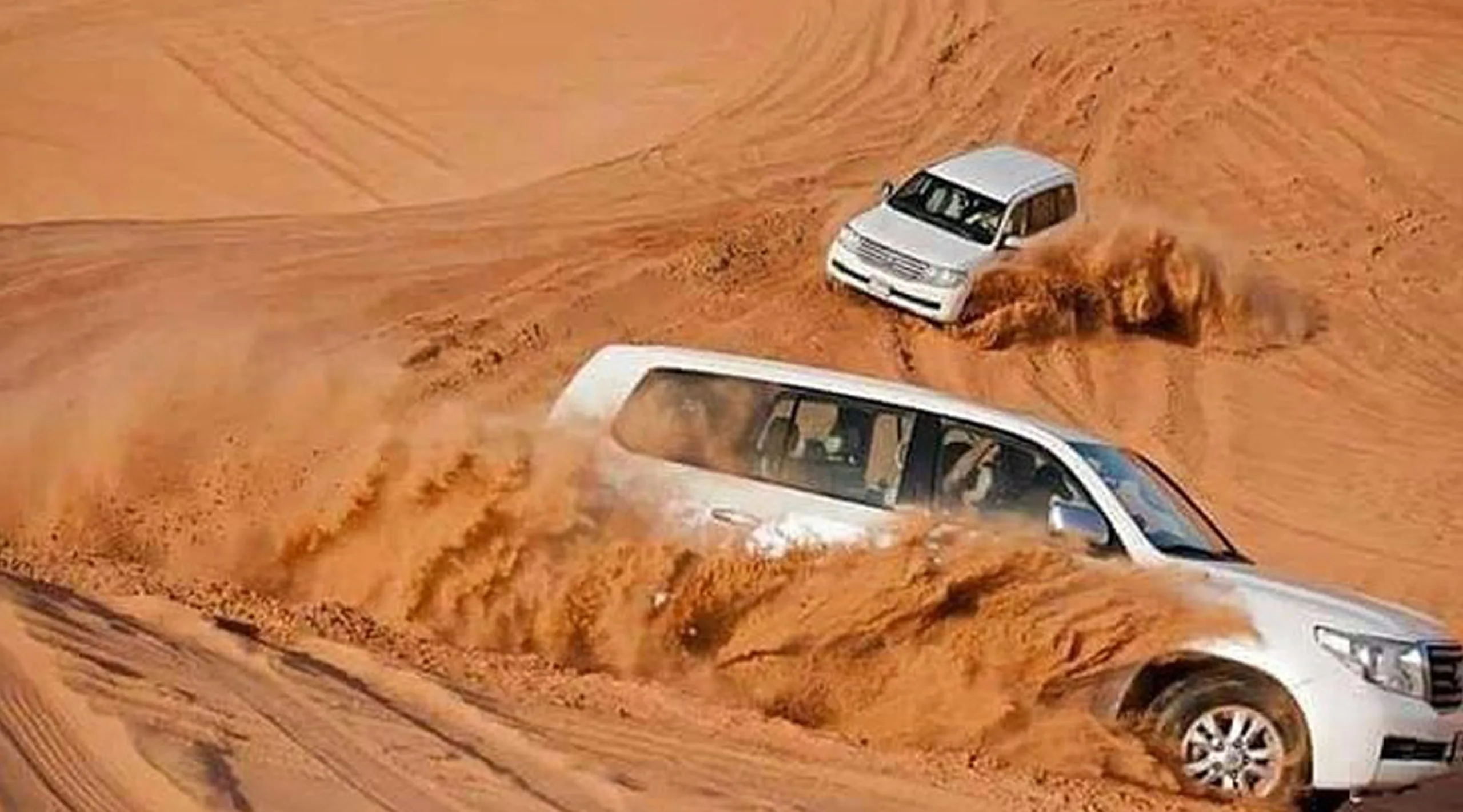 Red Dune Safari with VIP Service
