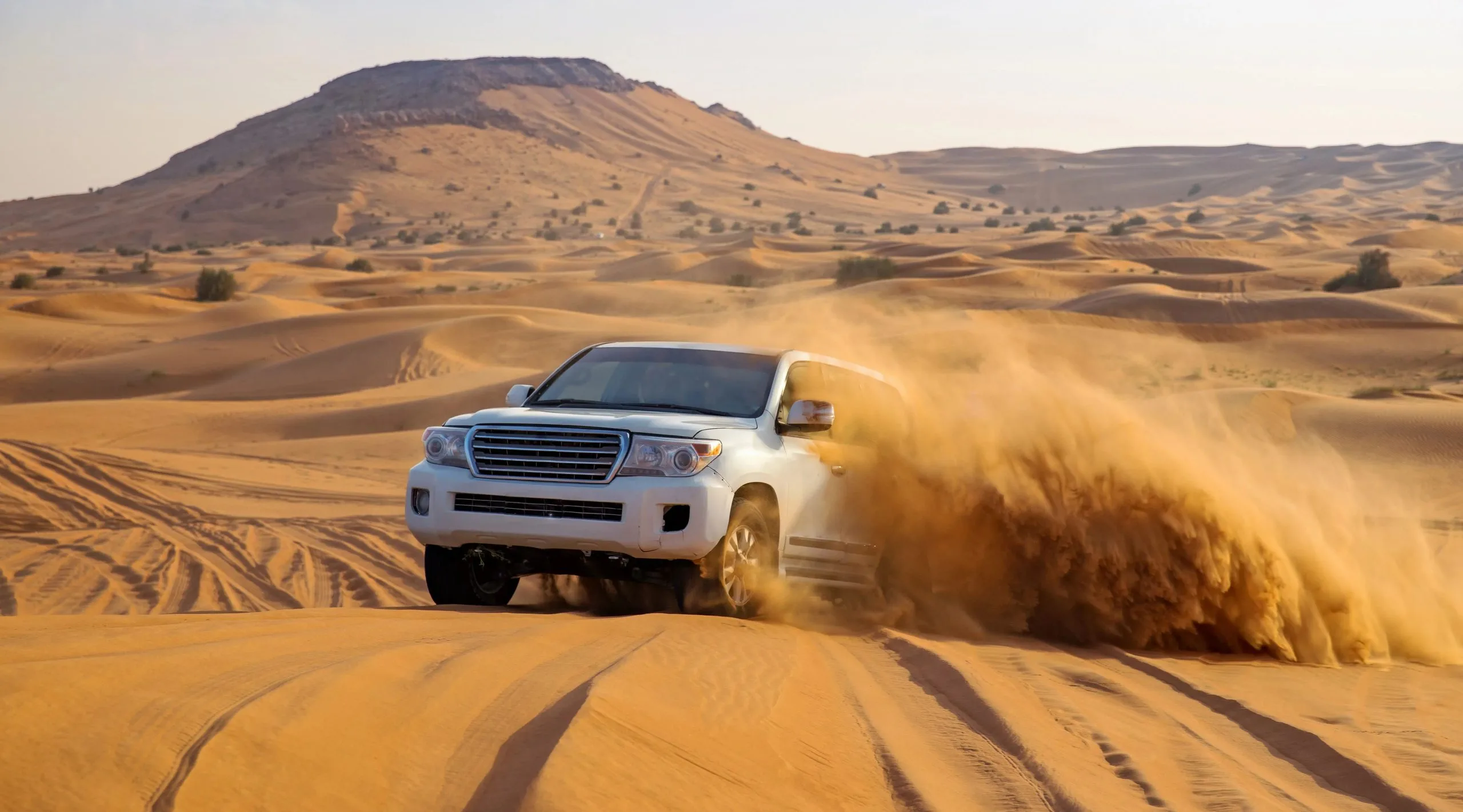 Dubai evening desert safari dune bashing