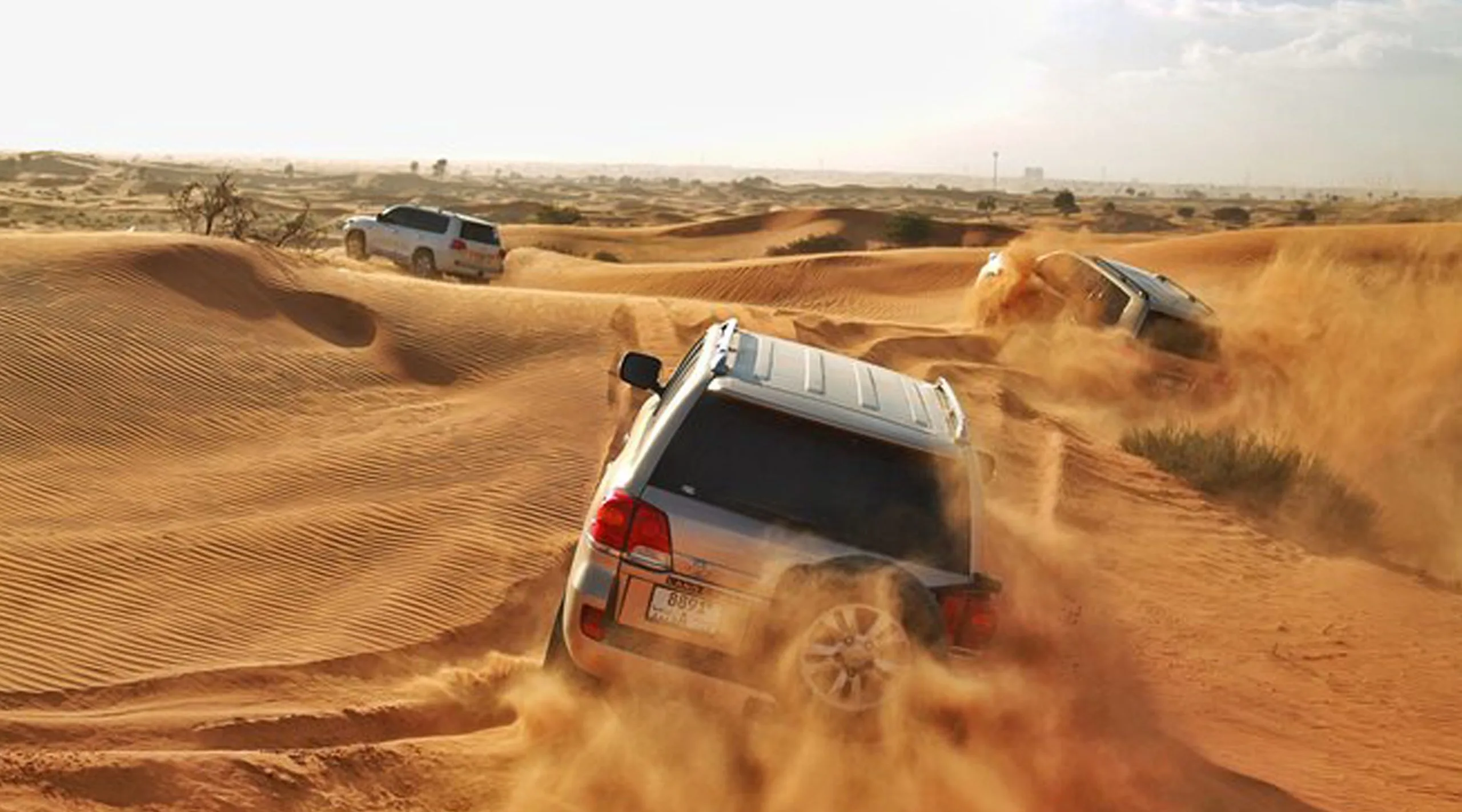 Dune Bashing evening desert safari