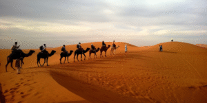 How People Survive in Deserts? Ultimate Survival Tips 2025